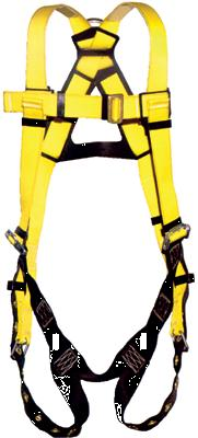 Safety Harness